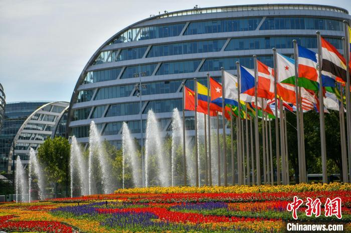 第五屆進(jìn)博會場館景觀裝飾全面定妝?！￡悏魸?攝