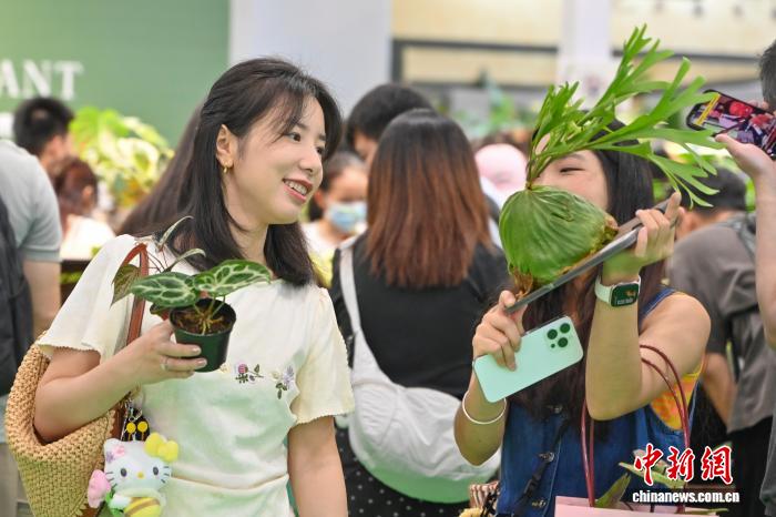 中國新聞網(wǎng)2.jpg